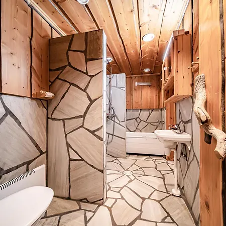 Charming Holiday home Levi